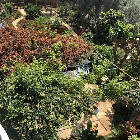 Garden Apart *