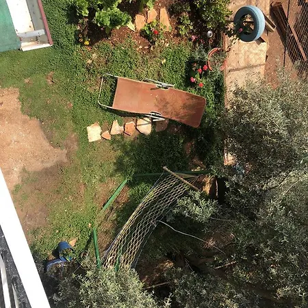 Garden Apart *